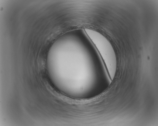X0000073460039200607281042