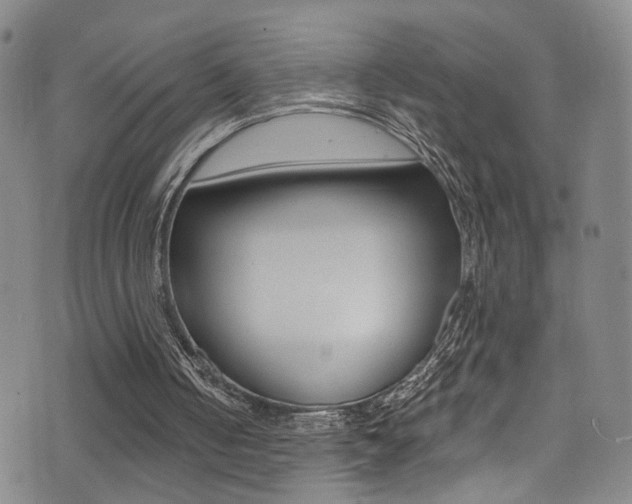 X0000073460050200607281041