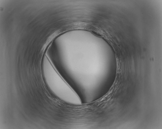 X0000073460099200607281041