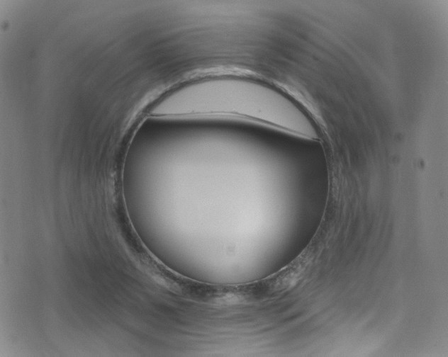 X0000073460111200607281041