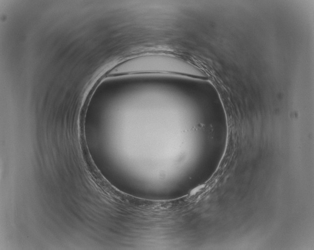 X0000073460148200607281040
