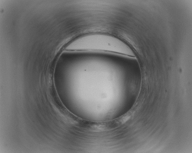 X0000073460164200607281040