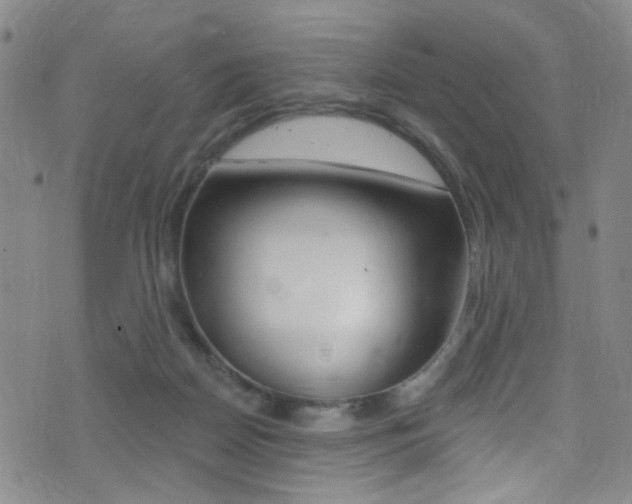 X0000073460170200607281040