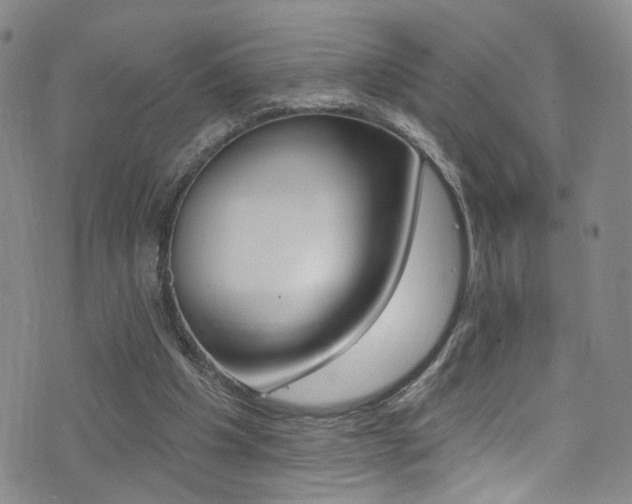 X0000073460201200607281039