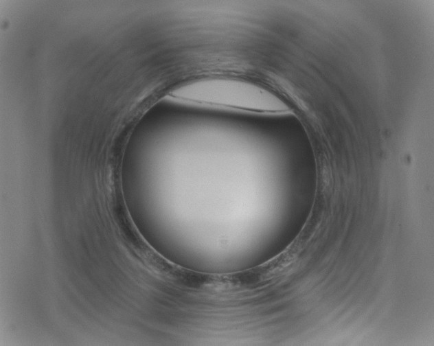 X0000073460211200607281039