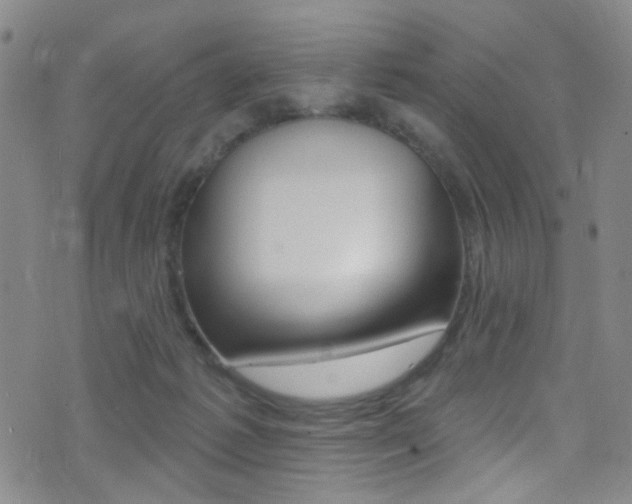 X0000073460221200607281039