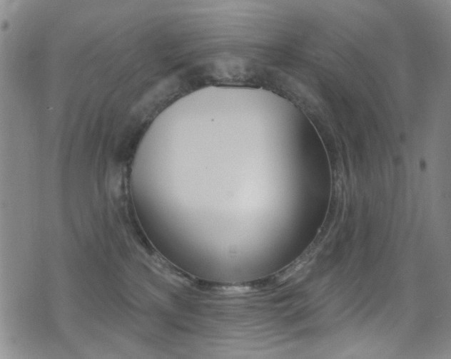 X0000073460233200607281039