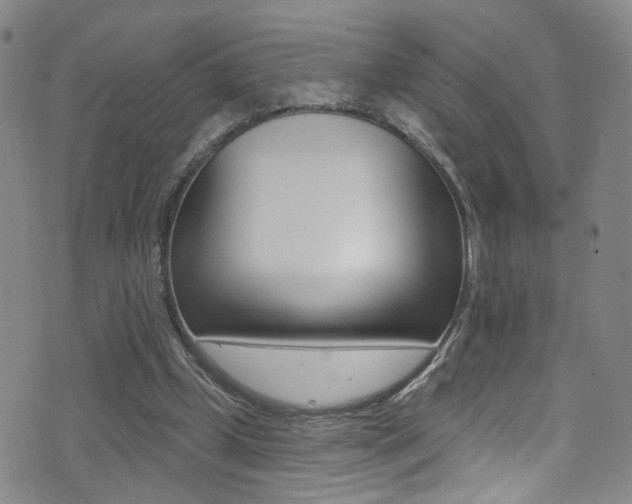 X0000073460249200607281038