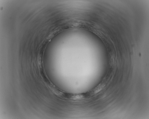 X0000073460274200607281039