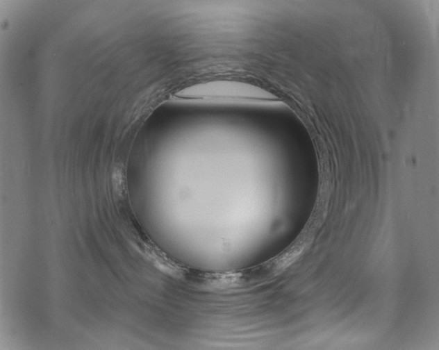 X0000073460288200607281039