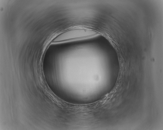 X0000073460289200607281038