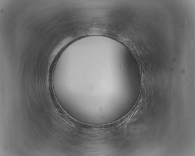 X0000073460292200607281038