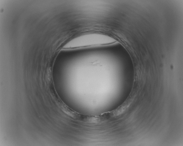 X0000073460325200607281037