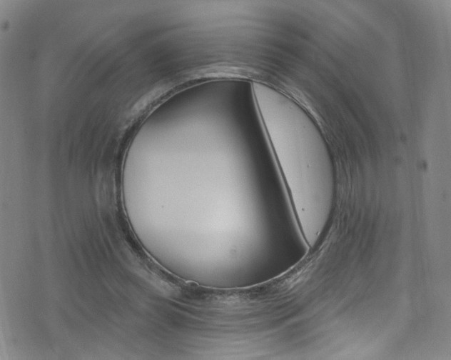 X0000073460349200607281037