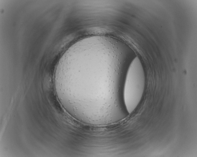 X0000073460355200607281037