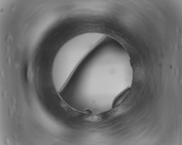 X0000073460383200607281037