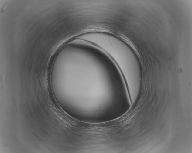 X0000073460387200607281036