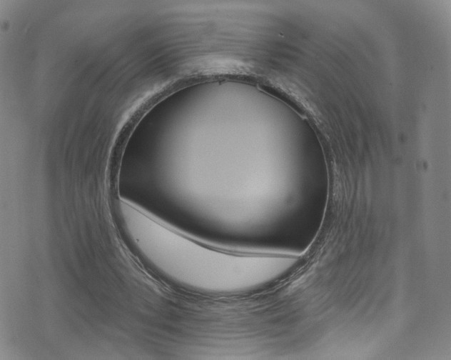 X0000073460391200607281036