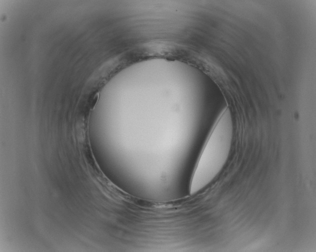 X0000073460413200607281036