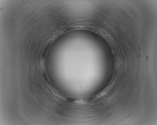 X0000073460425200607281036