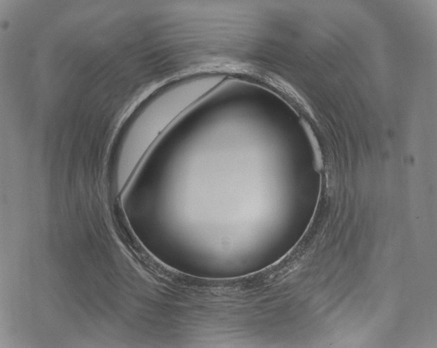 X0000073460436200607281035