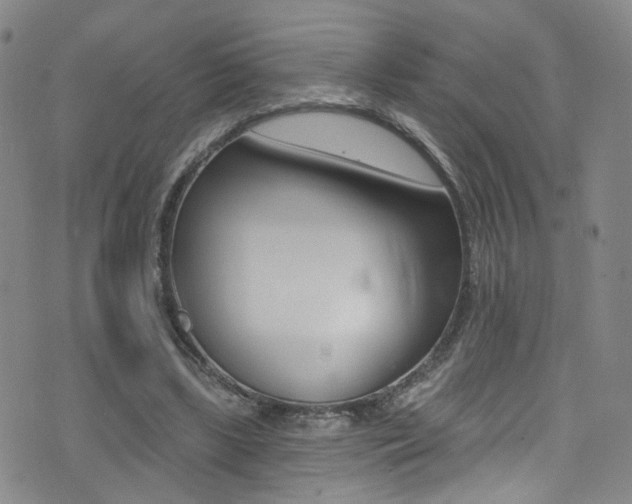 X0000073460443200607281035