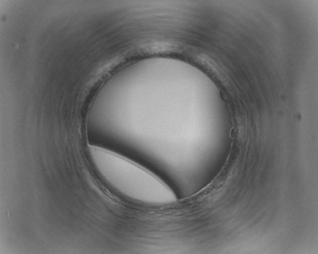 X0000073460447200607281035