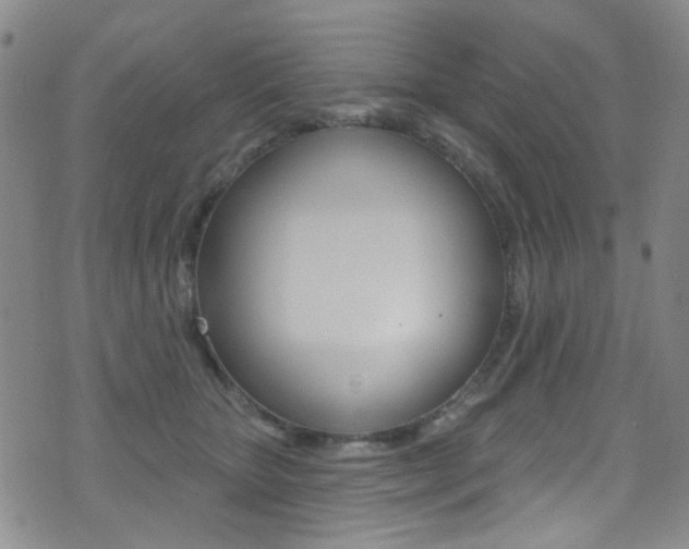 X0000073460467200607281035