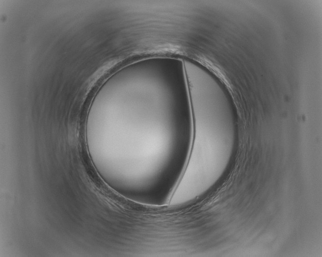 X0000073460483200607281035
