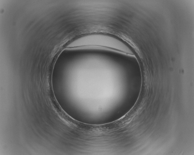 X0000073460489200607281035