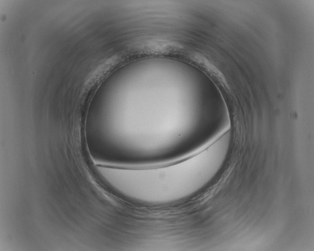 X0000073460493200607281035