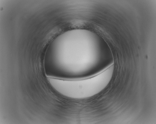 X0000073460508200607281034