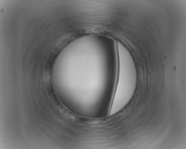 X0000073460513200607281034