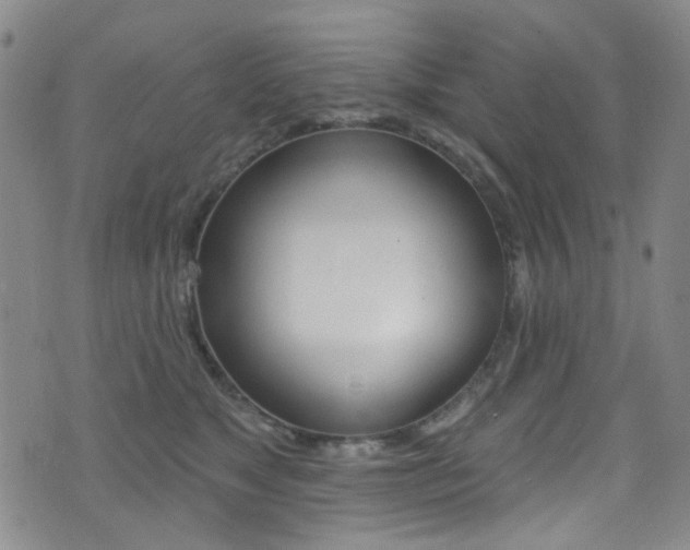 X0000073460517200607281034