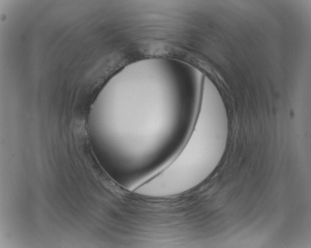 X0000073460521200607281034