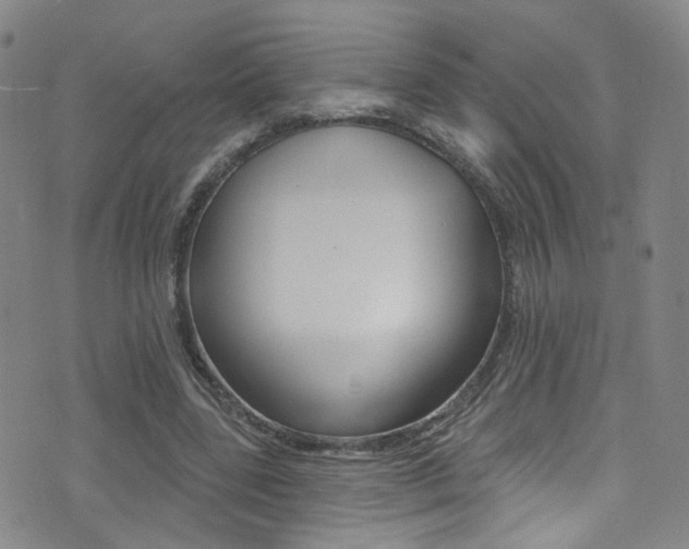 X0000073460539200607281034