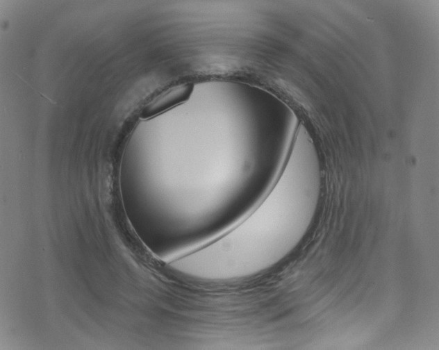 X0000073460544200607281034