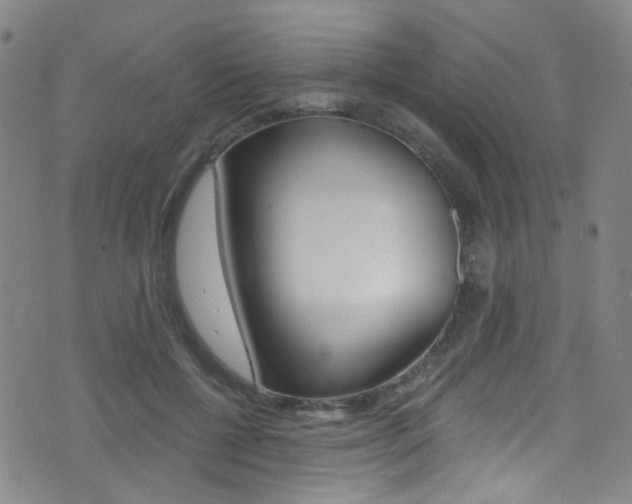 X0000073460552200607281034