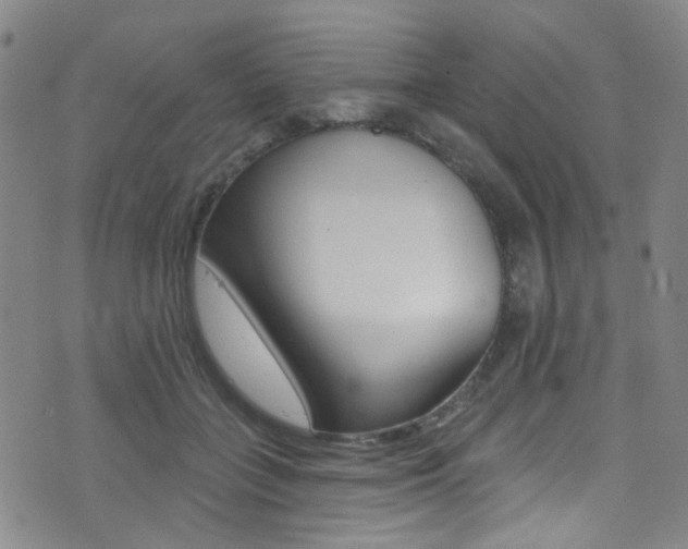 X0000073460555200607281034