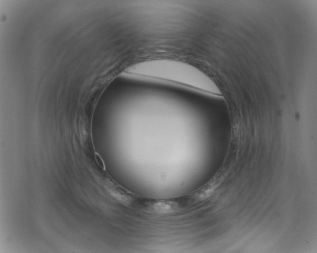 X0000073460566200607281034