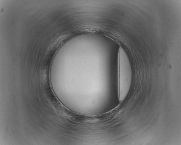 X0000073460595200607281033