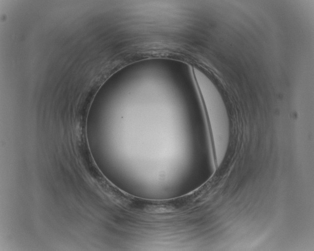 X0000073460597200607281033
