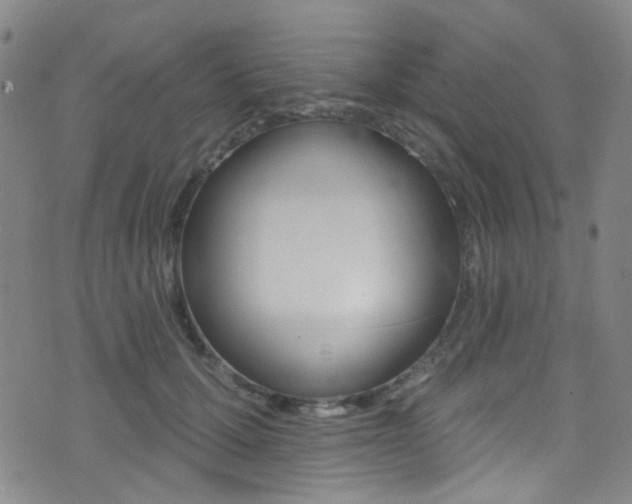 X0000073460607200607281033