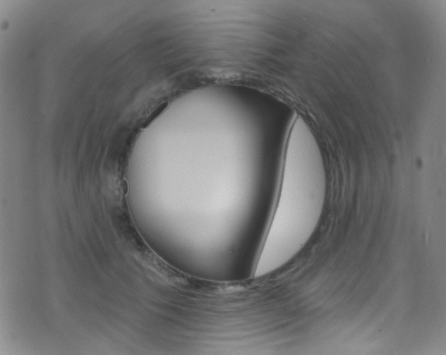 X0000073460609200607281033