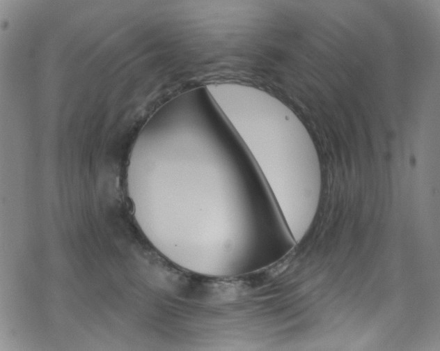 X0000073460615200607281033