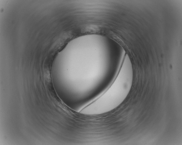 X0000073460617200607281033