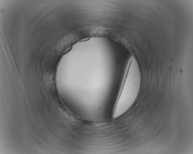 X0000073460619200607281033