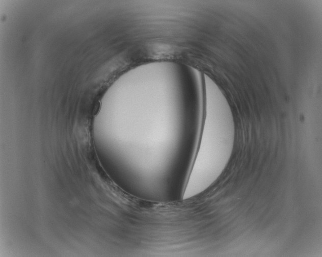 X0000073460620200607281033
