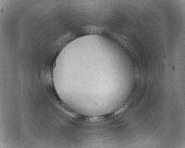 X0000073460622200607281033