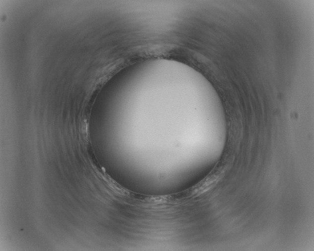 X0000073460624200607281033
